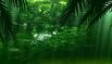 Backdrop for the forest edge section.